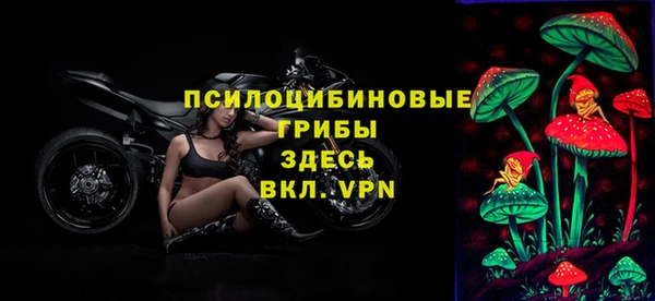 PSILOCYBIN Богородицк