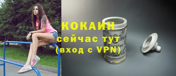 PSILOCYBIN Богородицк