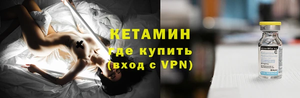 трава Белокуриха