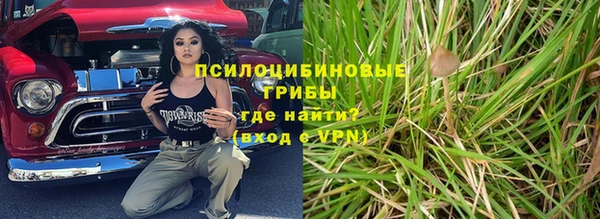 трава Белокуриха