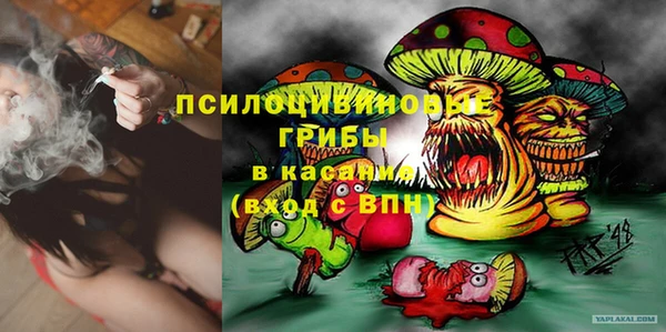 трава Белокуриха