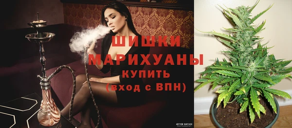 трава Белокуриха