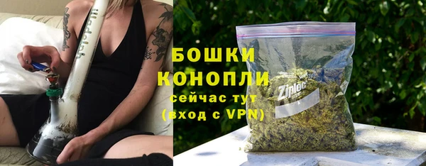 трава Белокуриха