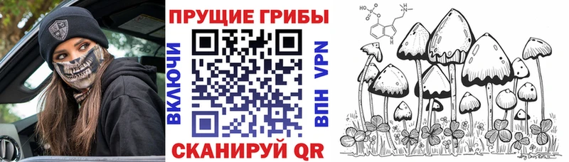 mega   Ворсма  Галлюциногенные грибы мухоморы 